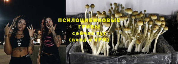 дмт Семикаракорск