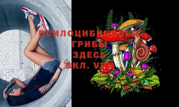 Альфа ПВП Семёнов