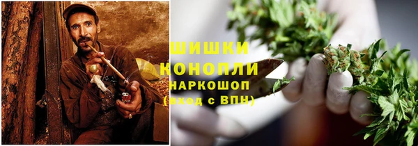 дживик Слюдянка