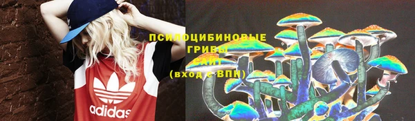 дмт Семикаракорск