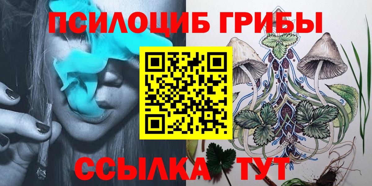Псилоцибиновые грибы Cubensis Череповец