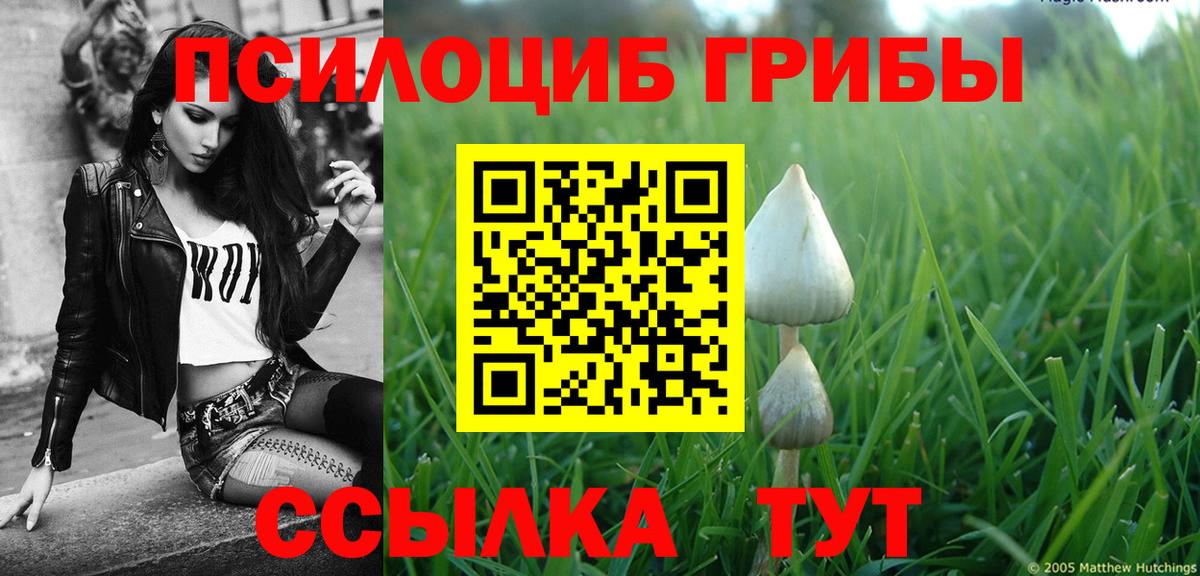 Галлюциногенные грибы ЛСД Череповец