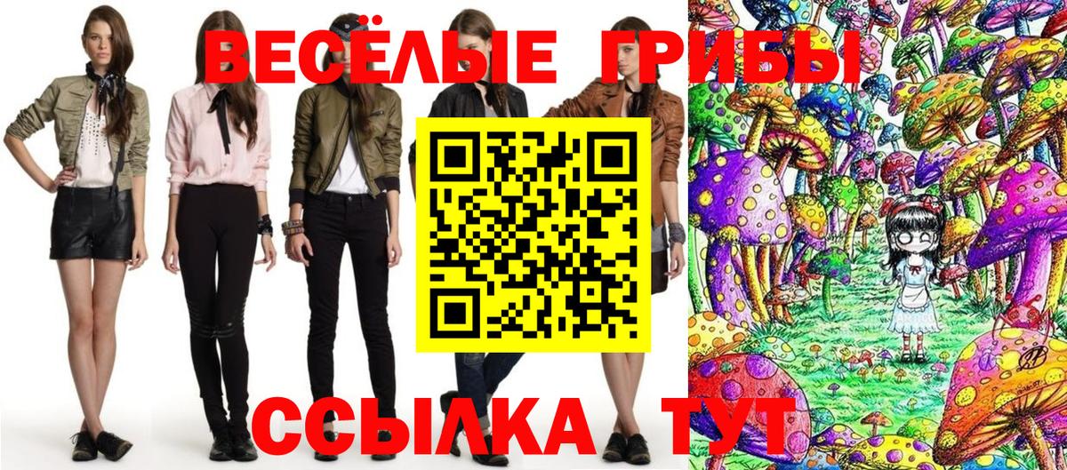 Череповец  Галлюциногенные грибы прущие грибы  Вход с VPN 