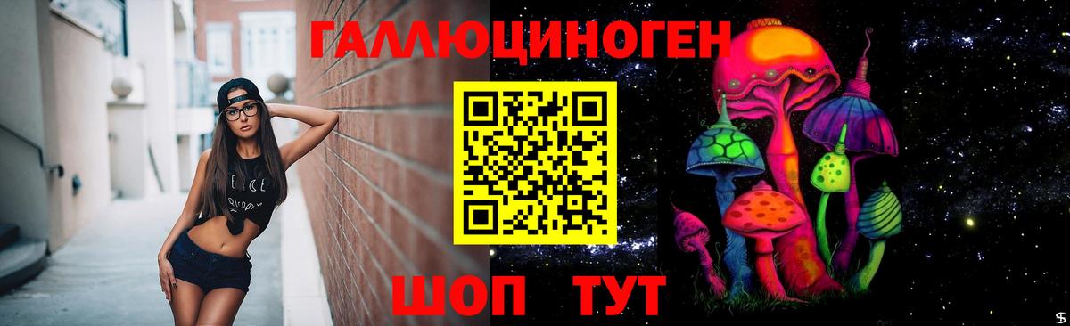 Галлюциногенные грибы Cubensis  Череповец 